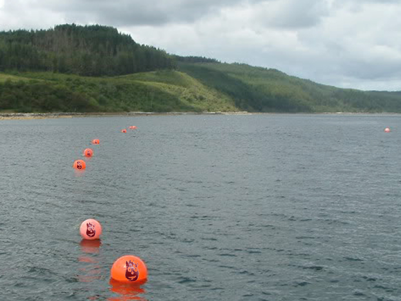 Moorings.jpg