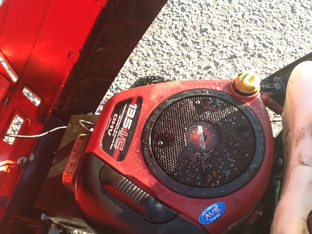 IMG_1141 (Small).JPG